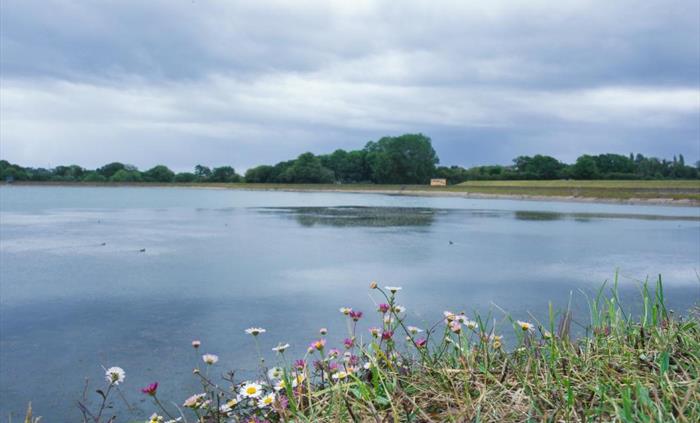 Lisvane & Llanishen Reservoirs